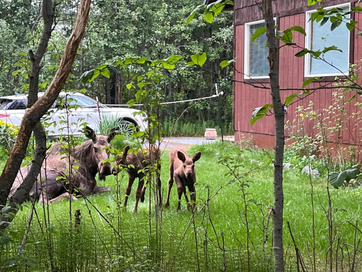 Resurrection River Rentals Seward Ngoại thất bức ảnh